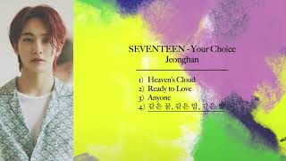 SEVENTEEN  Your Choice  Jeonghans Lines [upl. by Anirtap]