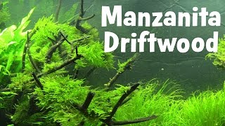 Best Aquarium Driftwood Manzanita Driftwood Overview [upl. by Alodie832]