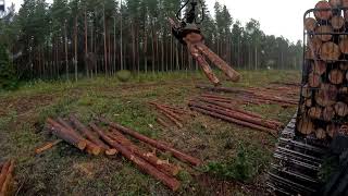 John Deere 1010G Forwarding pine pulpwood in thunderstorm [upl. by Airol]