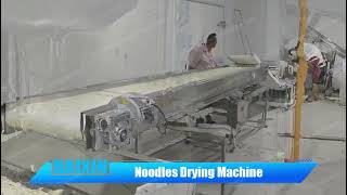 noodles drying machine [upl. by Barcot]