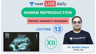 Human Reproduction  Lecture 13  Class 12  Unacademy NEET  LIVE DAILY  NEET Biology  Dr Sachin [upl. by Adnoryt]