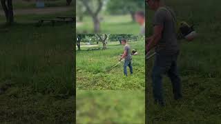 ASMR Garden Transformation Cutting Tall Grass and Yard Cleanup [upl. by Kubetz]