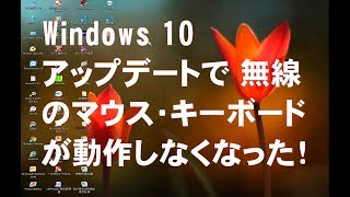 Windows 10 アップデート で 無線マウス・無線キーボード動作不能になったので対処と対策 [upl. by Wilton227]