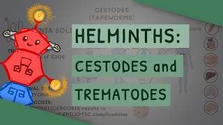 Helminths Cestodes and Trematodes transmission clinical importance and treatment [upl. by Aisetra]