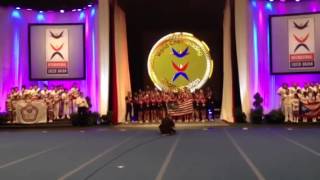 TEAM USA CHEER WINS GOLD 2014 [upl. by Ellecrad]