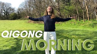 Qigong Morning 20 minutes Follow Along  Qigong For Beginners [upl. by Honna353]