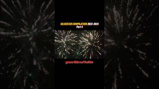 SILVESTER COMPILATION 20232024🧨  Part 4 [upl. by Llertnor]