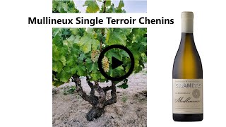 Video Tasting Note Single Terroir Chenin Blancs [upl. by Pirnot264]