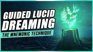 Lucid Dreaming The MILD Technique [upl. by Iraj426]