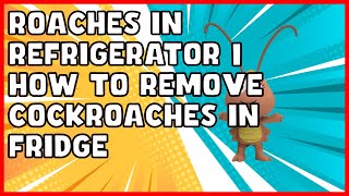 Roaches in Refrigerator  How to Remove Cockroaches in Fridge [upl. by Nallaf58]