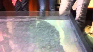 Turbidity currents recreating in laboratory [upl. by Ainnek]