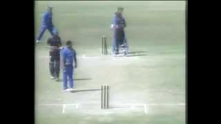 Batsman hits wicket but fielders dont notice [upl. by Ahselak]