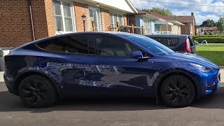 quotTesla Pet Liner Review Best Dog Protection for Your Model Y  Easy Install amp Durable [upl. by Tamas]