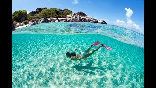 Reef Snorkeling In The Bahamas Nassau [upl. by Nivak]