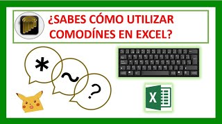 Como utilizar comodines en excel Aprende con ejemplos [upl. by Aynatan943]