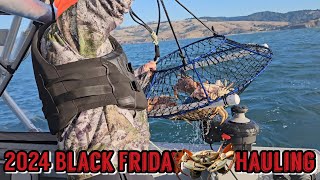 Bodega Bay Dungeness Crabbing  Black Friday 🦀 Hauling dungenesscrab bodegabay [upl. by Attenaej]