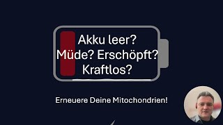 ⚡ Mitochondrien – die Kraftwerke Deines Körpers ⚡ [upl. by Stillas615]