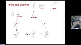 Organic Chemistry 2  Formation of imine and enamine [upl. by Gerard]