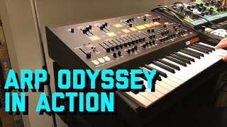 Korg ARP Odyssey or Behringer ARP Odyssey Watch ARP in Action [upl. by Akihsay]