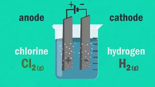 Electrolysis of Brine [upl. by Meagher]