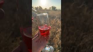 redberry juice turkey minivlog utubeshorts [upl. by Nylaehs]