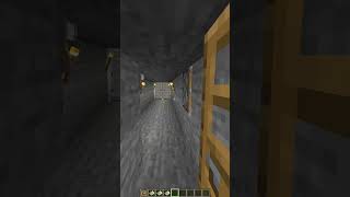 Minecraft Fake Door🤯 shorts [upl. by Ssalguod406]