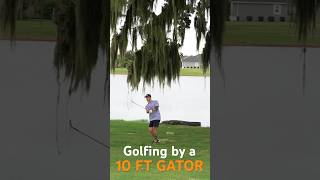 Playing golf next to a 10 FOOT ALLIGATOR golf thevillages alligator closecall shottracer [upl. by Adnhoj]