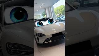 Blinking Eyes Car Sun Shade Windscreen Sunshade For Car shorts [upl. by Ezzo]