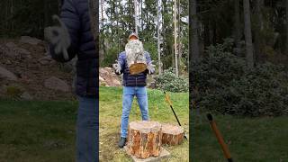 Chopping firewood in Finland  great birch log and one hit  heavy axe [upl. by Ewnihc]