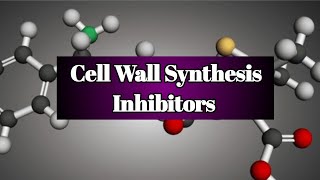 Cell Wall Synthesis Inhibitors  Beta lactam Drugs  Penicillins in easiest way [upl. by Airotcivairam]