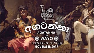 Agatanna අගටන්නා  WAYO Brick House Sessions November 2019 [upl. by Acinad832]