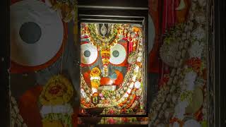 Nilachala dhama jaimu parunijagannath bhajan shorts [upl. by Tillinger749]