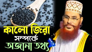 আমাদের প্রতিদিনের ব্যবহৃত কালো জিরা সম্পর্কে অজানা তথ্য।। আল্লামা দেলোয়ার হোসেন সাঈদি Saidi 2024 [upl. by Blaze678]