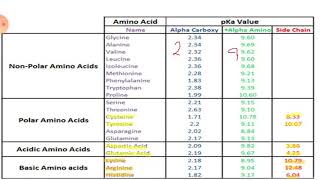 Ch3 Amino Acid part 3 protonated and deprotonated amino acids based on pka [upl. by Alleoj]