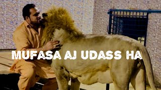 Mufasa tu aj keh raha ka bss mujhay galay lagaye rakho [upl. by Kirsten]