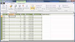 PowerPivot für Excel 2010  Datentypen  Teil 14 [upl. by Yarazed]