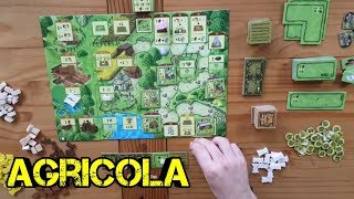 Agricola  Familienspieledition  Brettspiel  Review  Boardgame Digger [upl. by Callery]