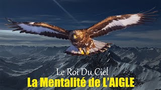 La Mentalité de lAigle  Les 7 Caractéristiques qui font de lui un Roi Motivation  Voix Fr [upl. by Klein455]