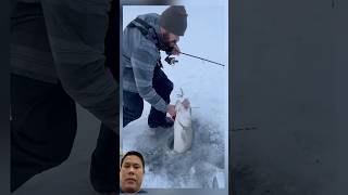 Ice fishing got big fish [upl. by Coleville46]