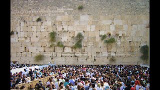 Mi Sheberach LTzahal The Prayer for The IDF [upl. by Dnarb]