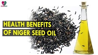 Health Benefits Of Niger Seed Oil  Health Sutra  Best Health Tips [upl. by Earvin]