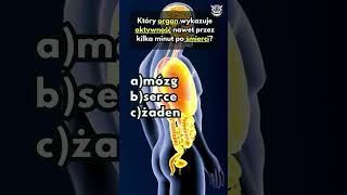 Anatomia człowieka cz5 ciało anatomiaczłowieka mózg dopamina budowa człowieka [upl. by Arrotal584]