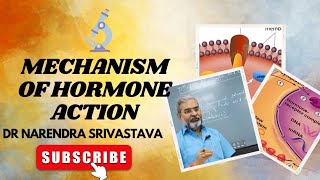 Hormone Action ll Mechanism ll Endocrine [upl. by Kurtis]