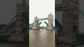 Tower bridge Opening and closinglondon towerbridgeyoutubeshortsshortsfeed [upl. by Aronael]