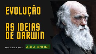 Aula  Ideias de Darwin  Teoria da Evolução Clássica [upl. by Keavy]