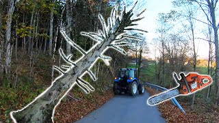 Farmers POV  Clearing Dangerous Hung Trees  New Holland T475 Husqvarna 353 [upl. by Jarret60]