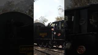 Leschenault Lady Steam Up train [upl. by Manville]