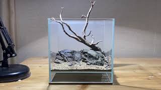 AQUASCAPE TUTORIAL  LOW TECH NO CO2 NANO CUBE TANK 20x20x20 [upl. by Ettenahs415]