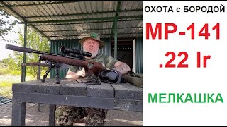 ОХОТА с БОРОДОЙ Про мелкашку в общем и МР141 в частности или у кого короче [upl. by Corbet256]