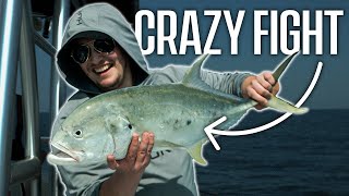 Giant Jack Crevalle in Florida [upl. by Jocko950]